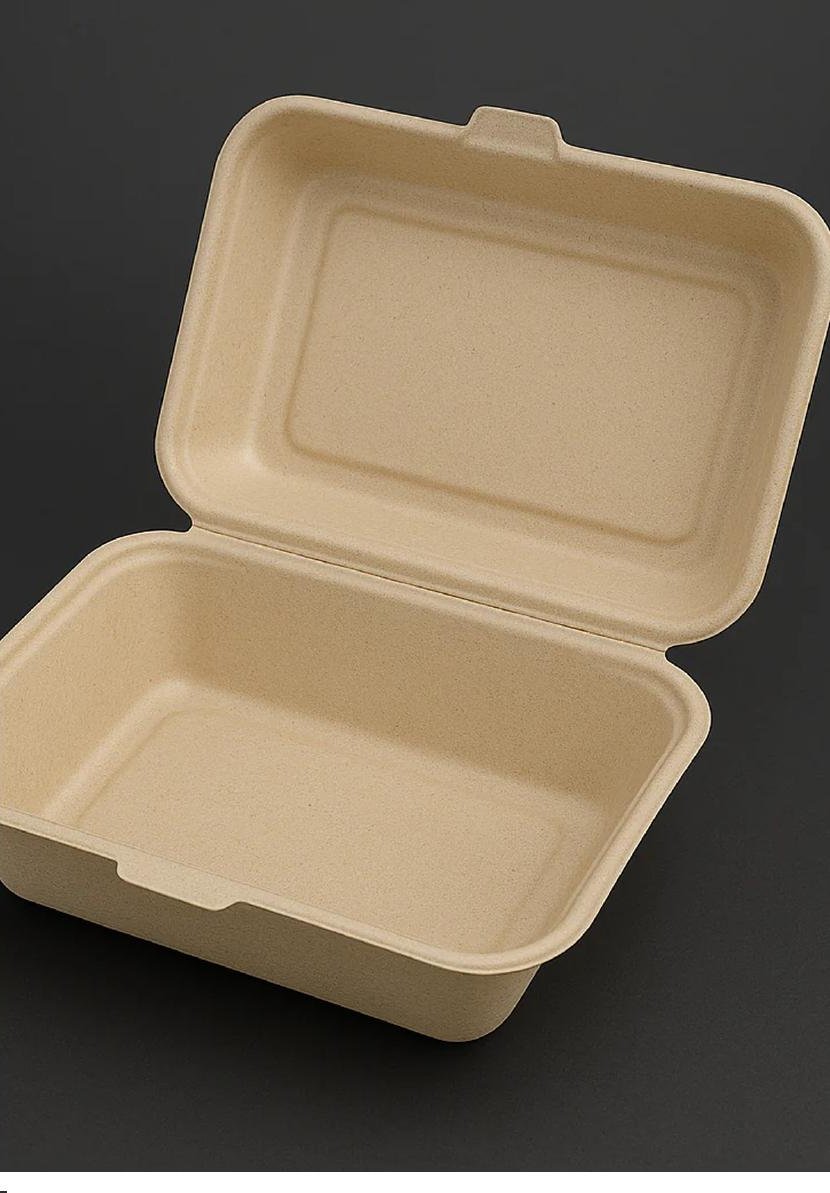 HANEI 6x9 bagasse clamshell