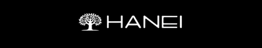 HANEI Solutions